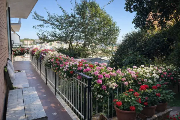 Trilocale via Vittorio Veneto, Ancona