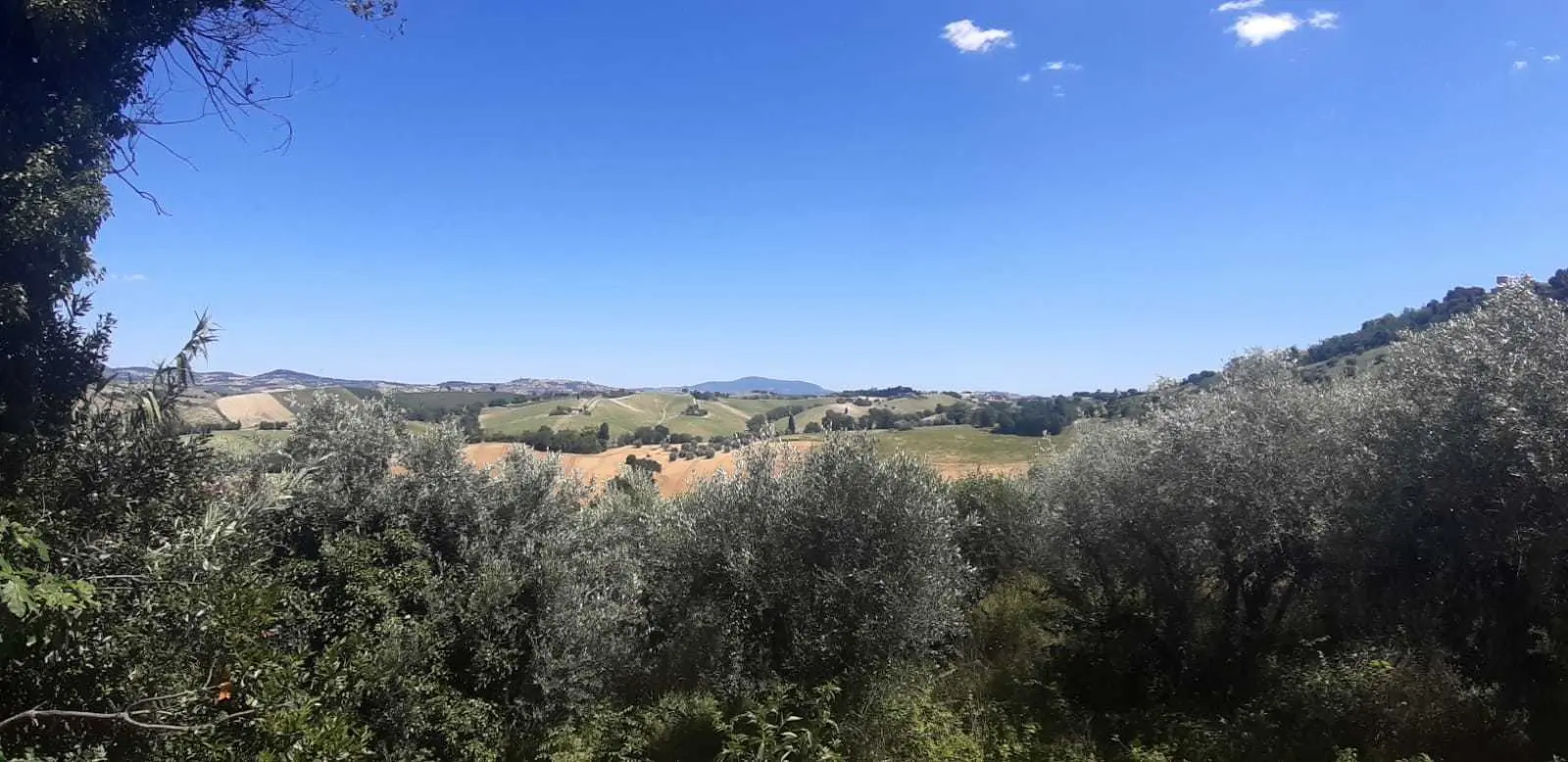Immagine per Rustico in vendita a Montefano via Casone