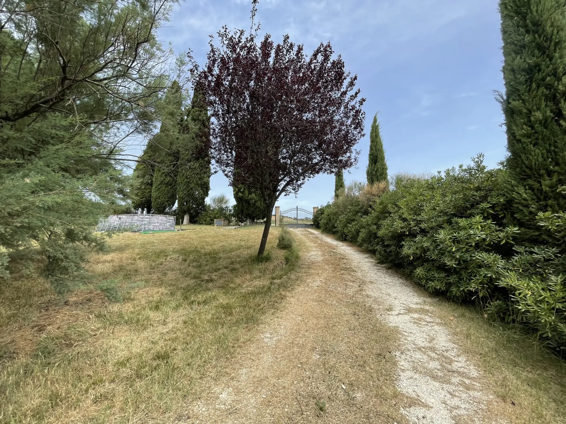Immagine per Rustico in vendita a Filottrano via Filottrano