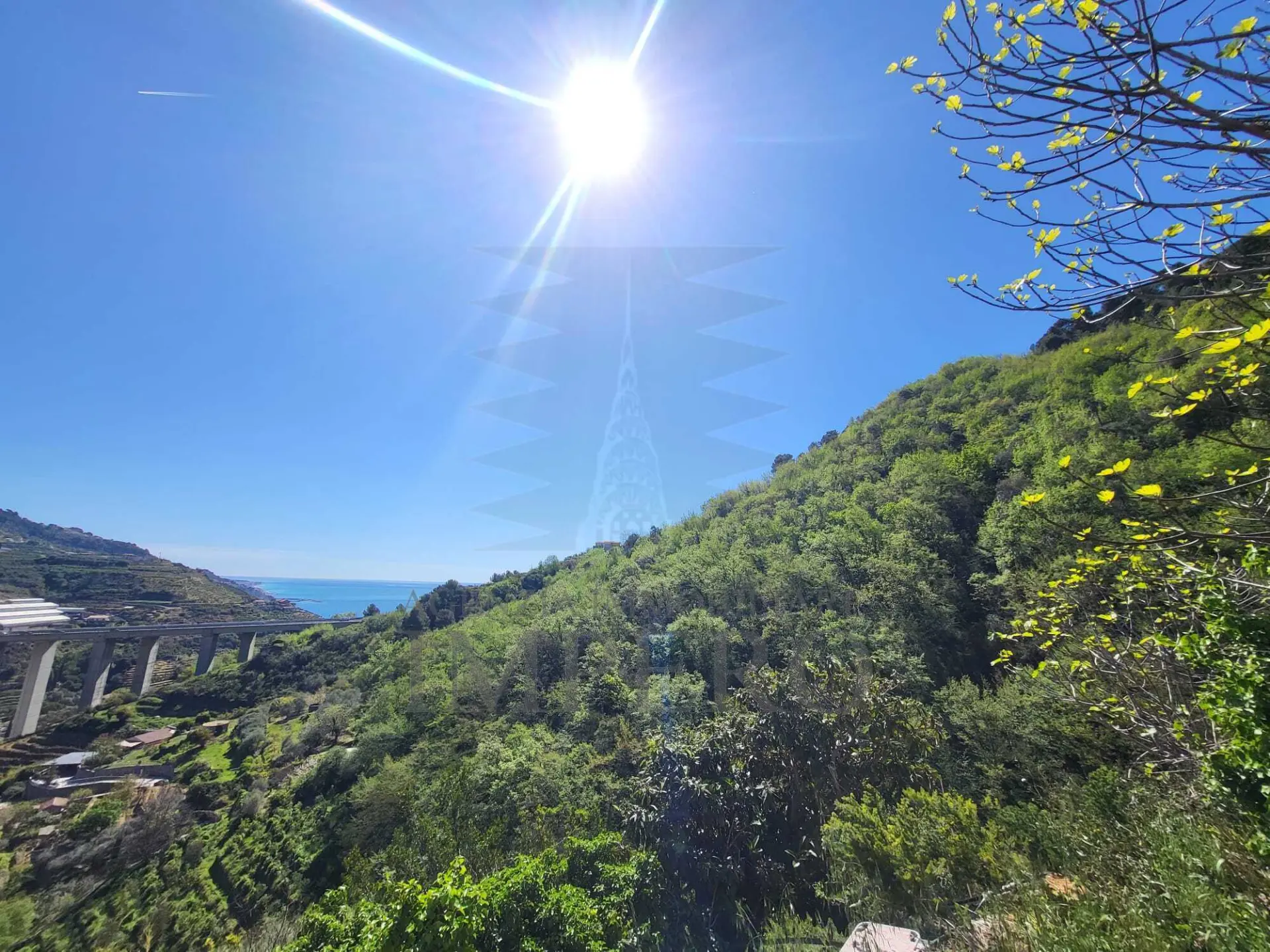 Immagine per Villa in vendita a Ventimiglia via Felice Cascione