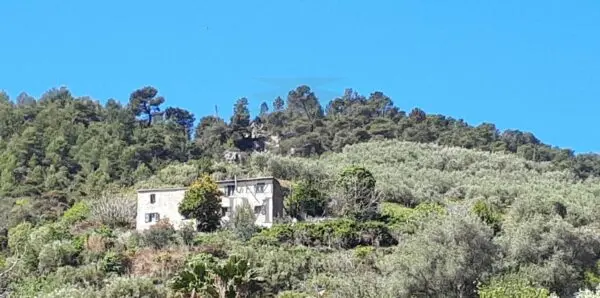 Villa via Felice Cascione, Ventimiglia