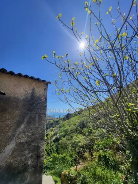 Villa via Felice Cascione, Ventimiglia