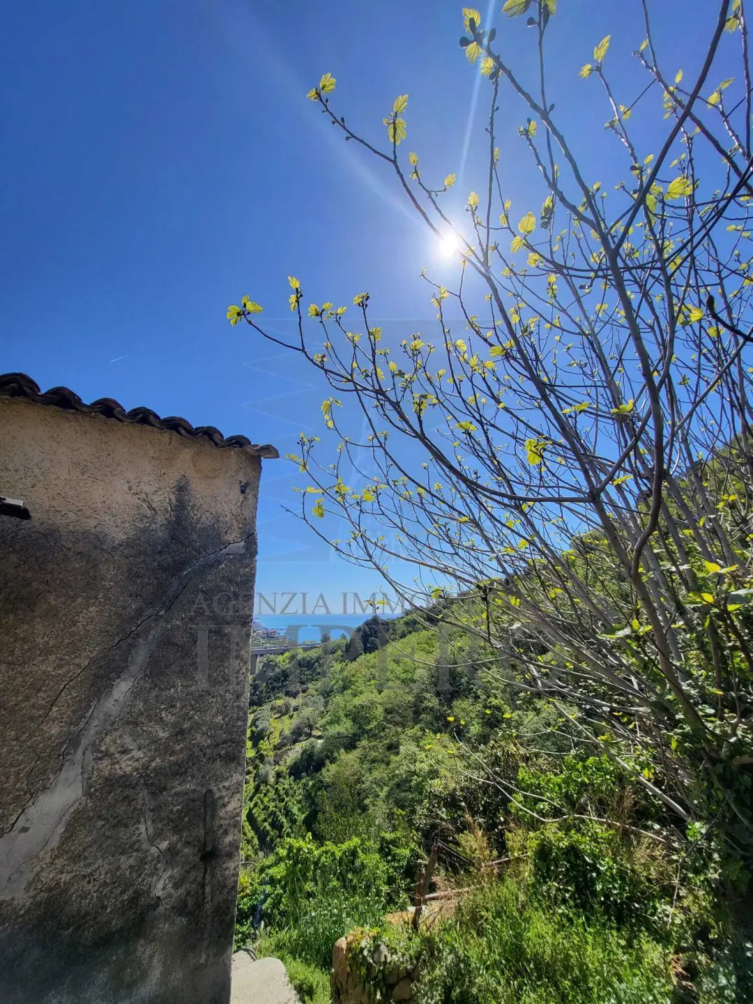 Immagine per Villa in vendita a Ventimiglia via Felice Cascione