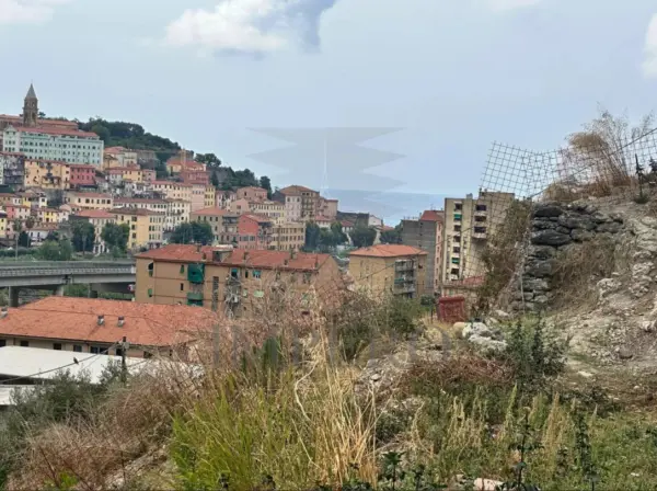 Uliveto via Monsignor Nicolò Peitavino, Ventimiglia