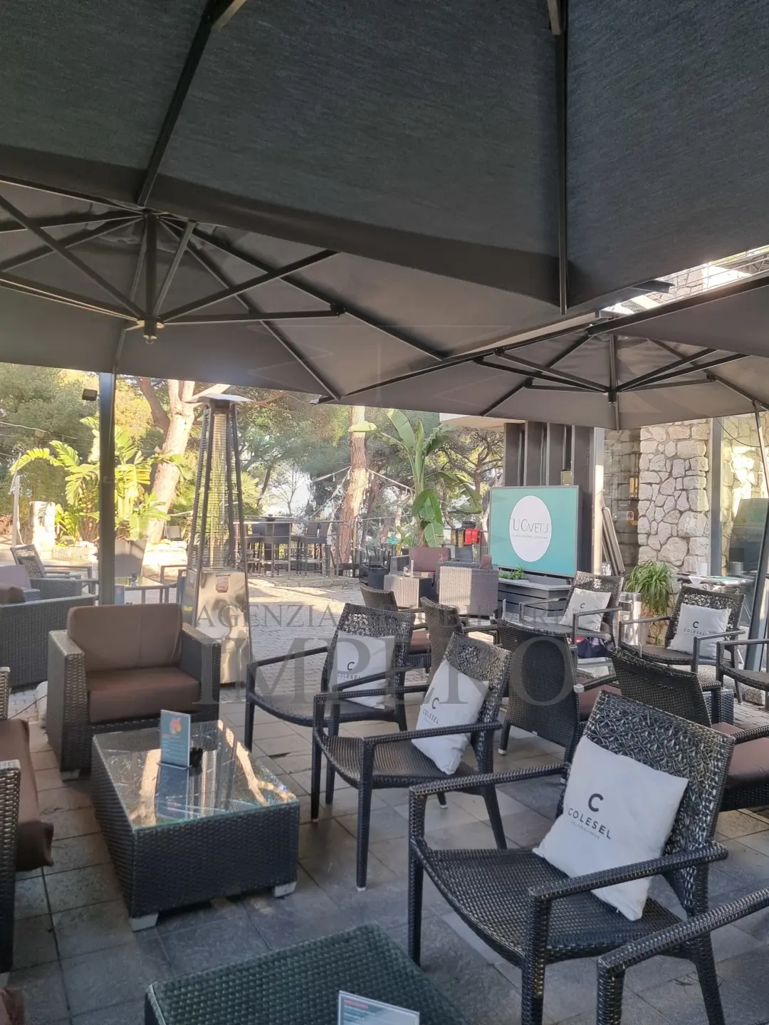 Immagine per Bar Ristorante in vendita a Bordighera corso Francesco Rossi 1
