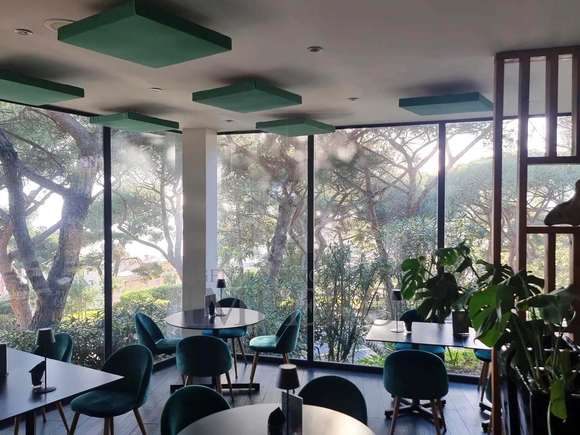 Immagine per Bar Ristorante in vendita a Bordighera corso Francesco Rossi 1