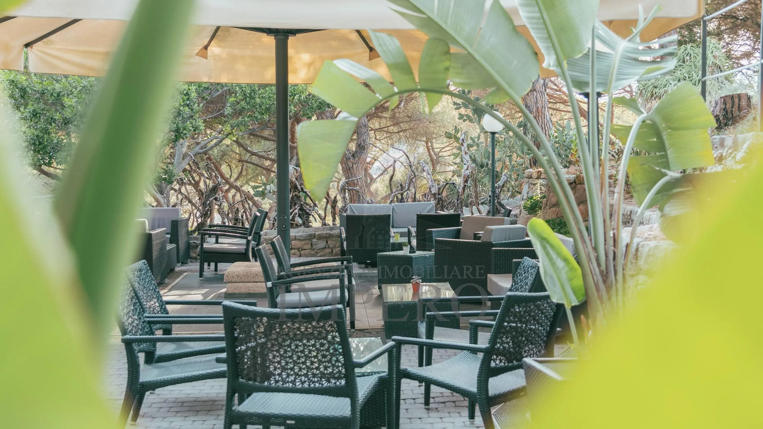 Immagine per Bar Ristorante in vendita a Bordighera corso Francesco Rossi 1