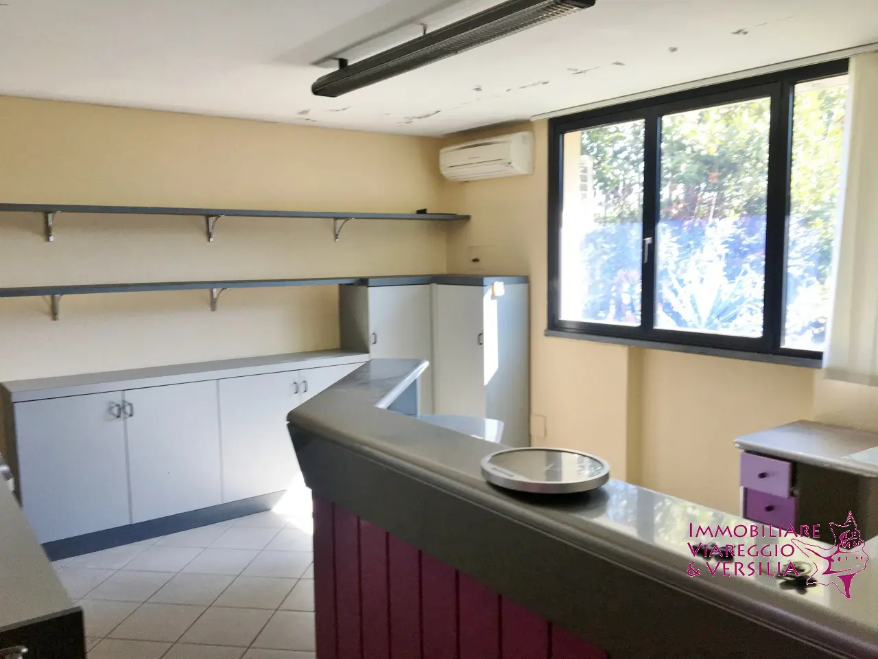 Immagine per Magazzino in affitto a Camaiore  