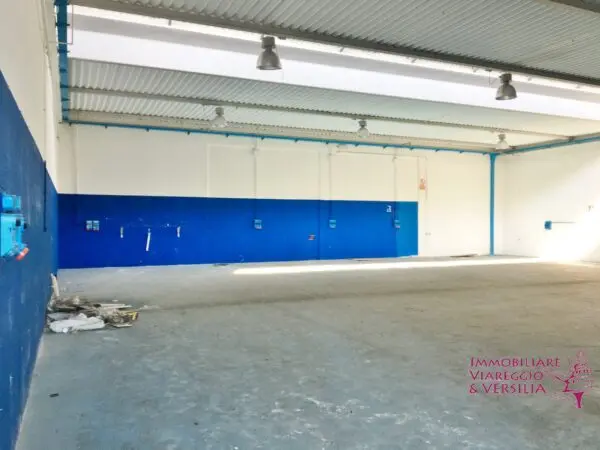 Magazzino via, Camaiore