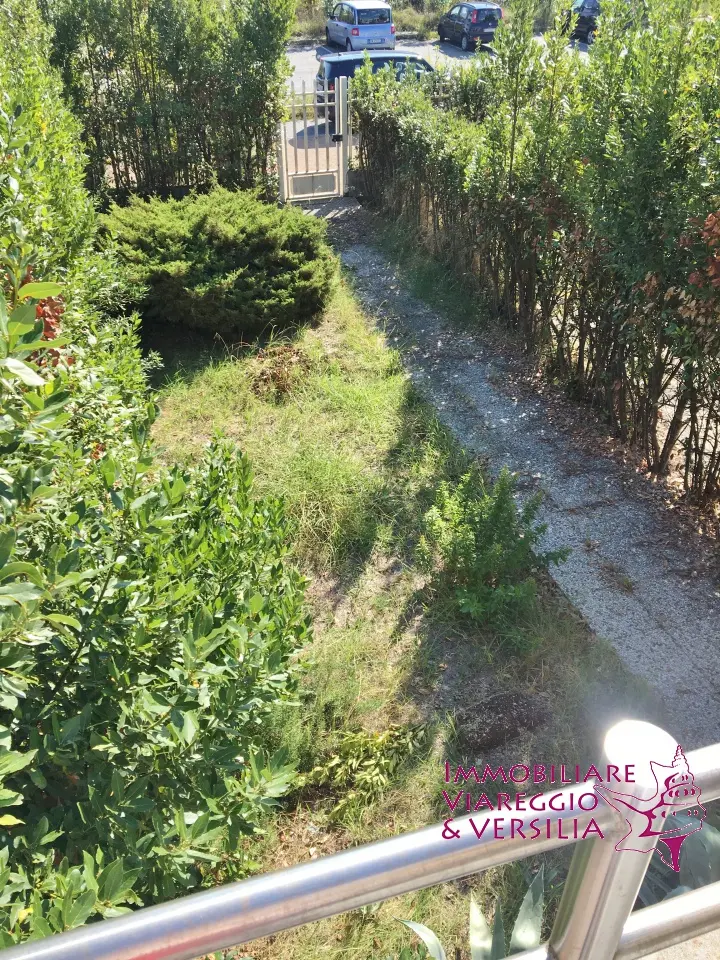 Immagine per Magazzino in affitto a Camaiore  