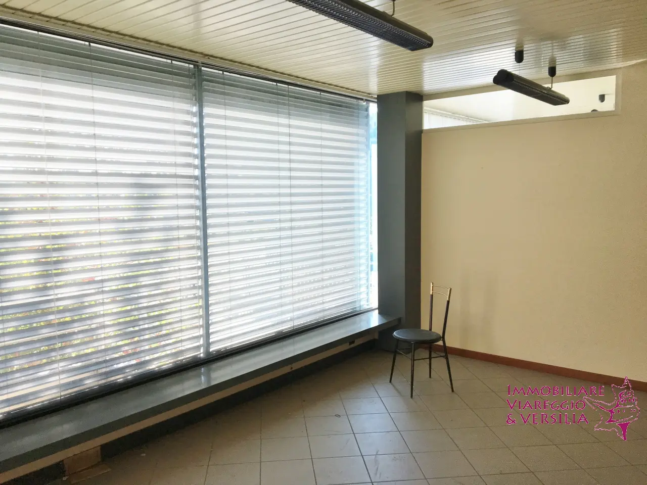 Immagine per Magazzino in affitto a Camaiore  