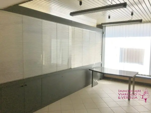 Magazzino via, Camaiore