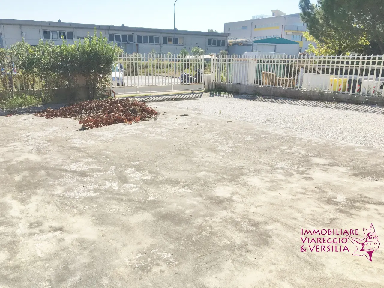 Immagine per Magazzino in affitto a Camaiore  