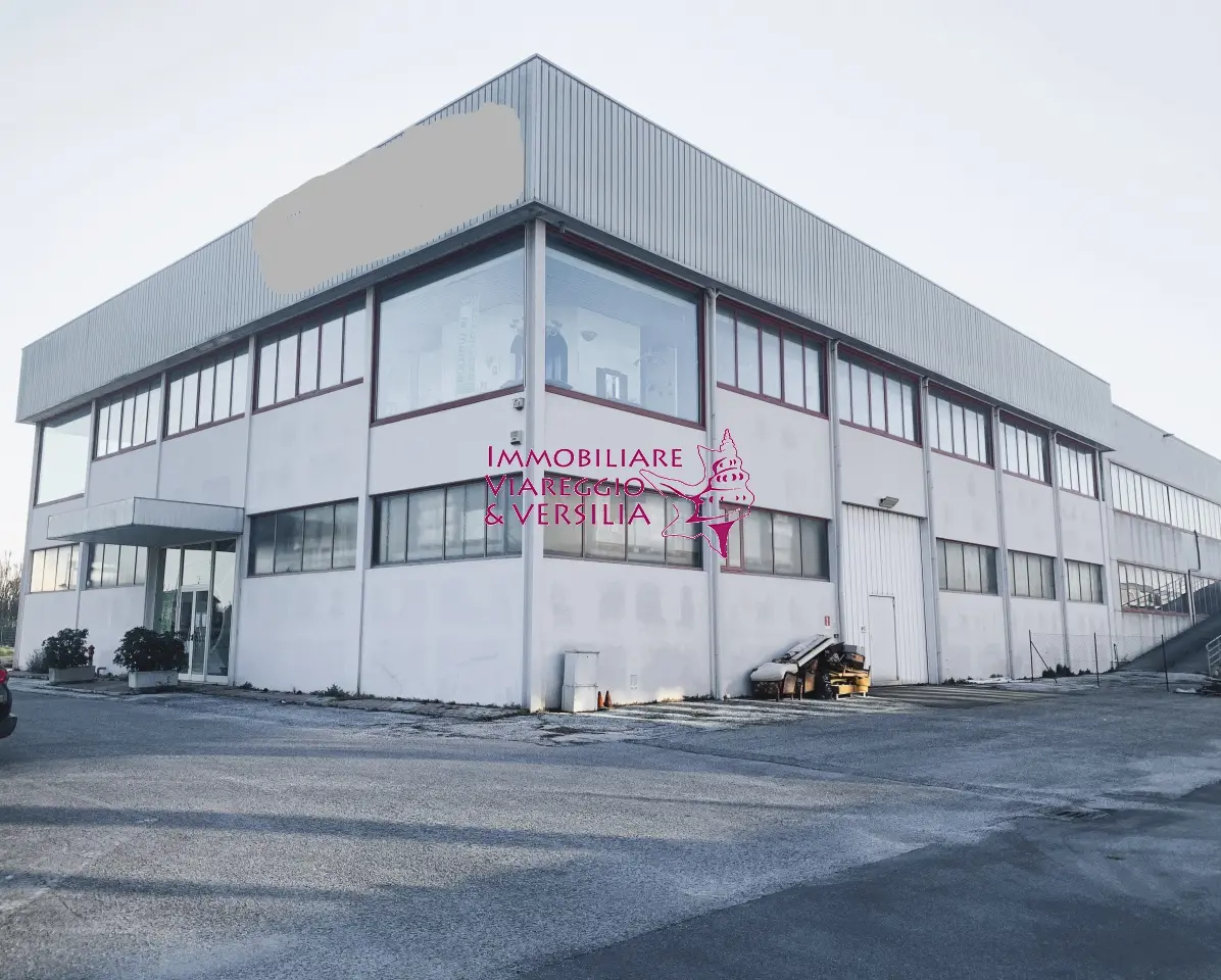 Immagine per Magazzino in vendita a Camaiore  