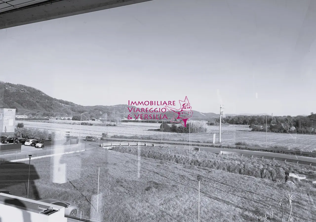 Immagine per Magazzino in vendita a Camaiore  