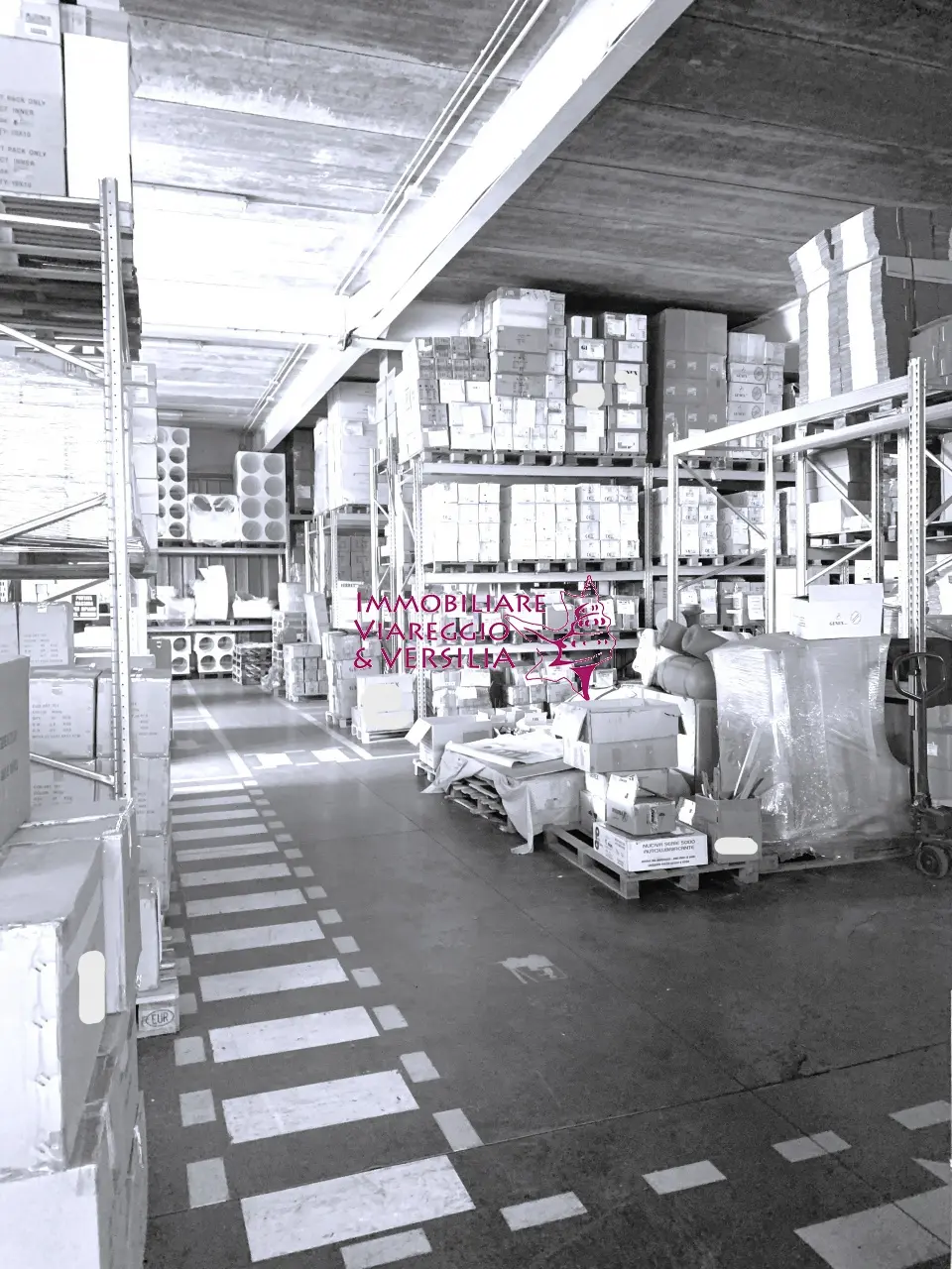 Immagine per Magazzino in vendita a Camaiore  