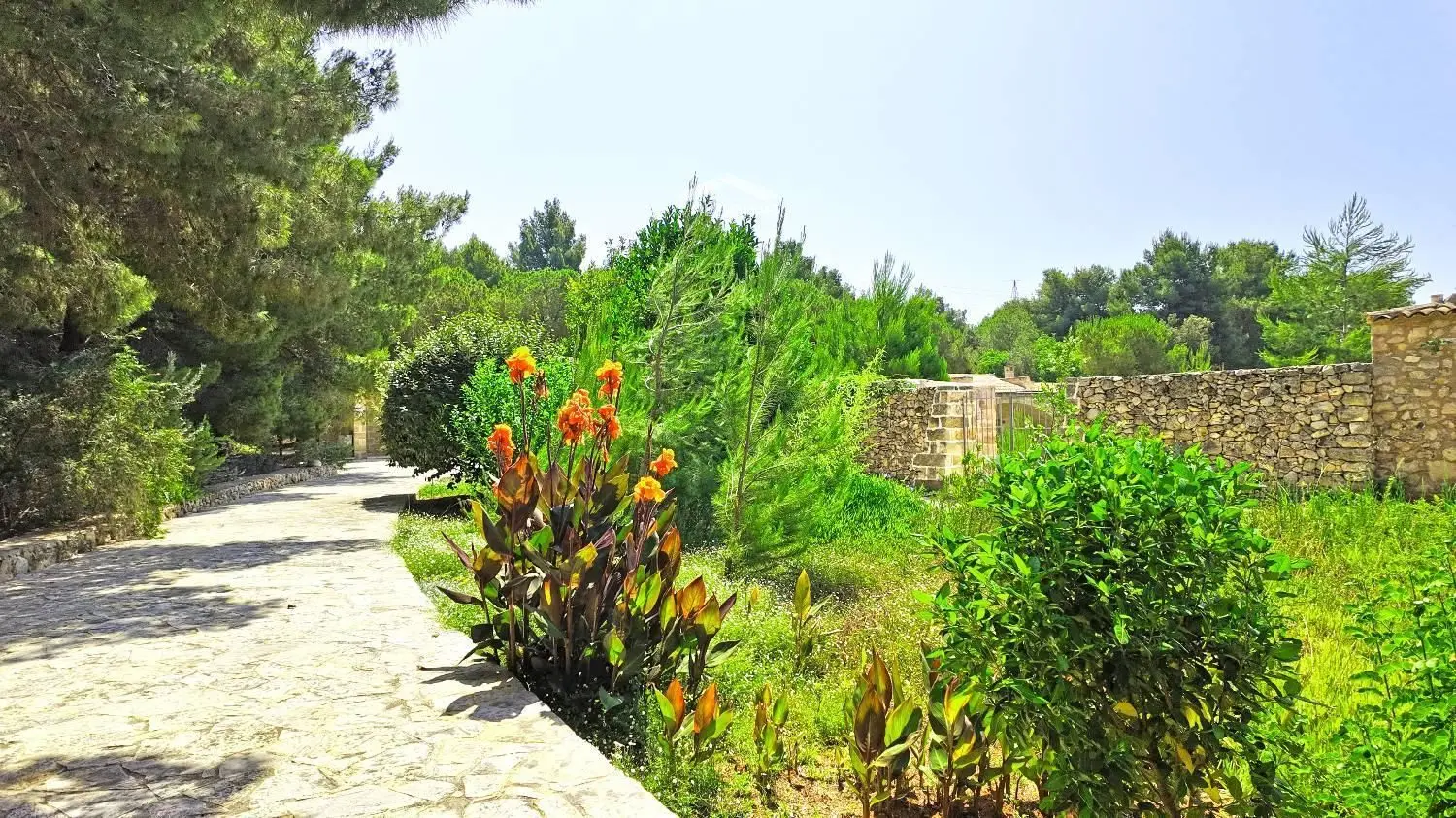 Immagine per Albergo/Hotel in vendita a Gallipoli Gallipoli 