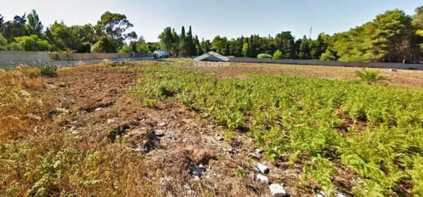 Terreno Agricolo via Luigi Tenco 0sc, Melendugno
