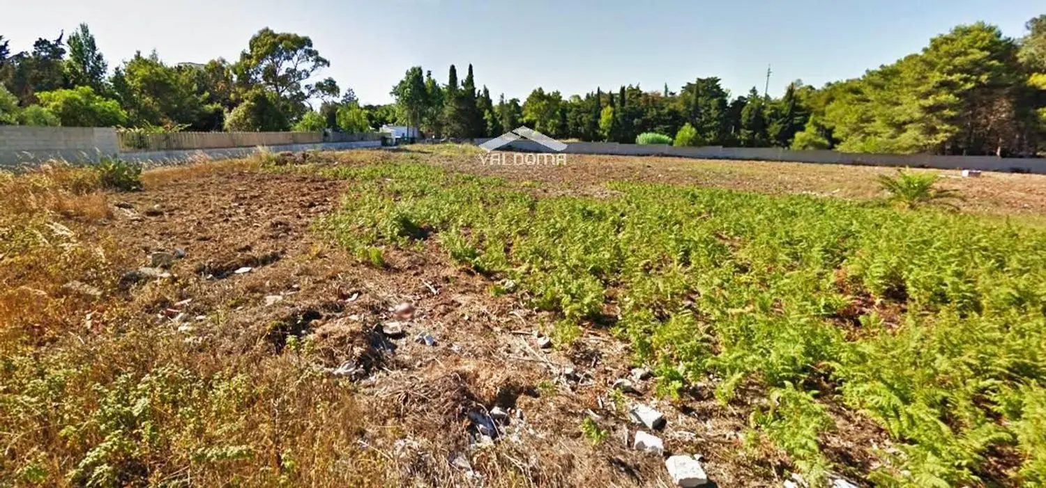 Immagine per Terreno Agricolo in vendita a Melendugno Luigi Tenco 0sc
