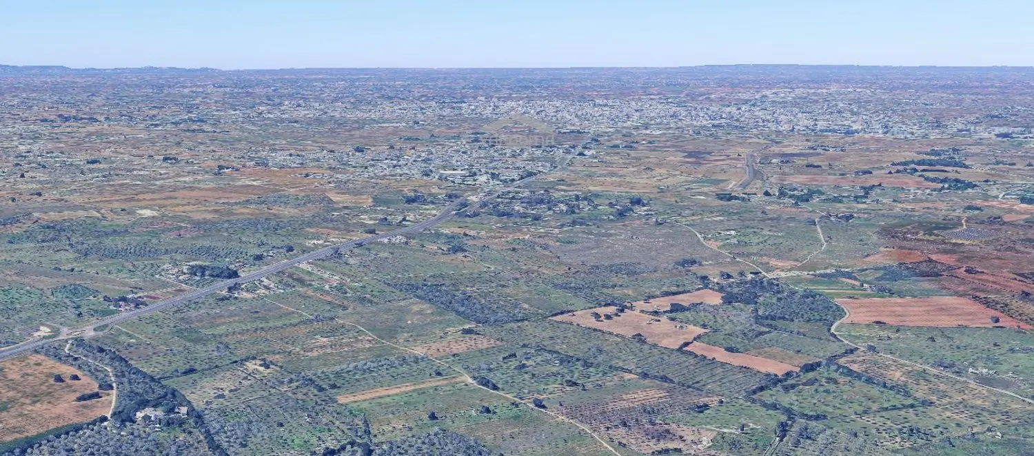 Immagine per Terreno Agricolo in vendita a Vernole Complanare 0sc