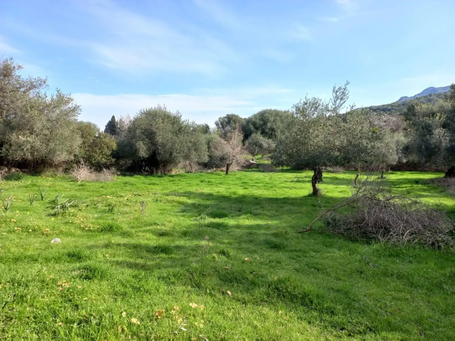 Immagine per Terreno Edificabile in vendita a Nuxis