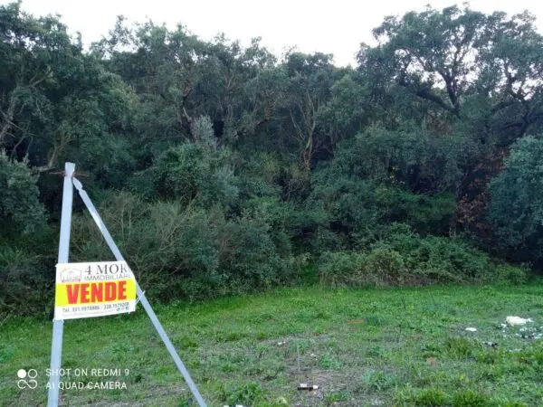 Terreno Agricolo Iglesias
