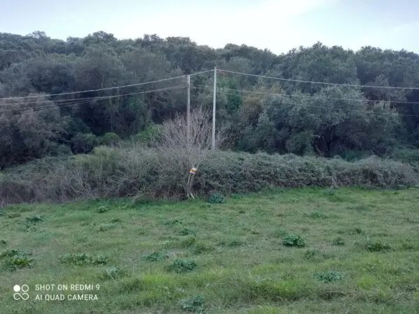 Terreno Agricolo Iglesias