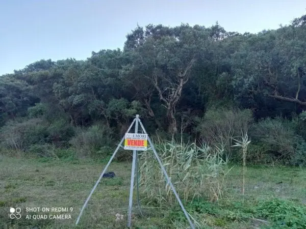 Terreno Agricolo Iglesias