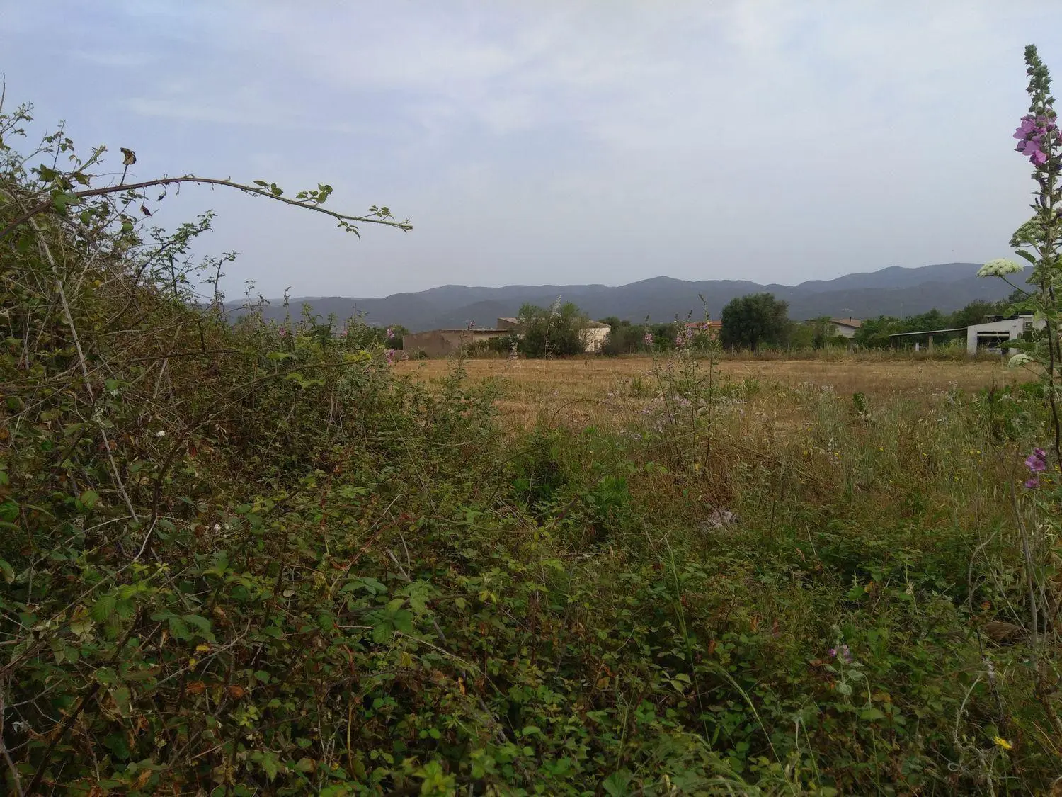 Immagine per Terreno Edificabile in vendita a Nuxis via Is Pinnas