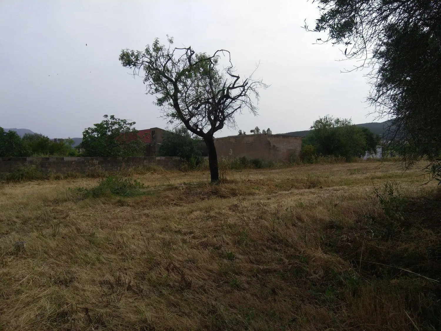 Immagine per Terreno Edificabile in vendita a Nuxis via Is Pinnas