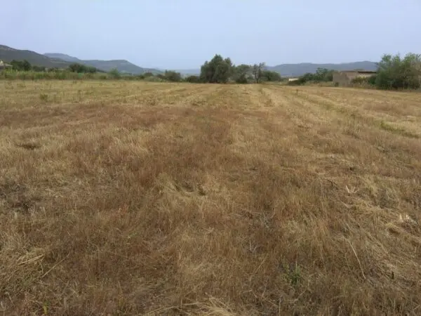 Terreno Edificabile via Is Pinnas 0, Nuxis