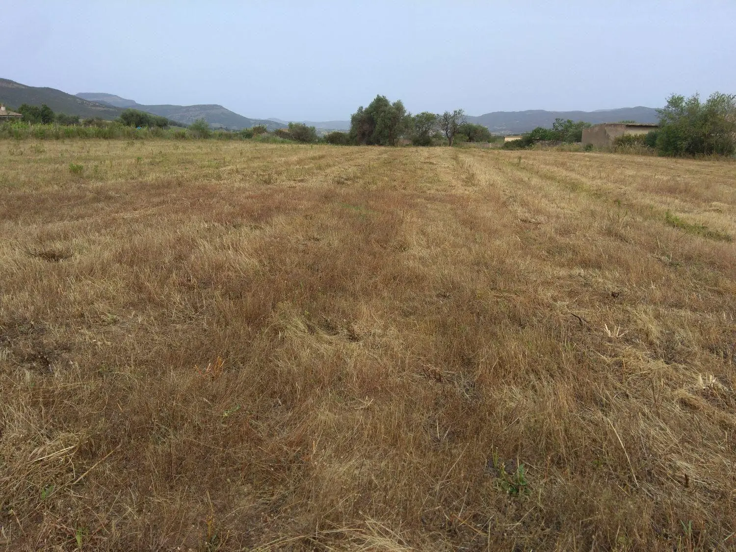 Immagine per Terreno Edificabile in vendita a Nuxis via Is Pinnas