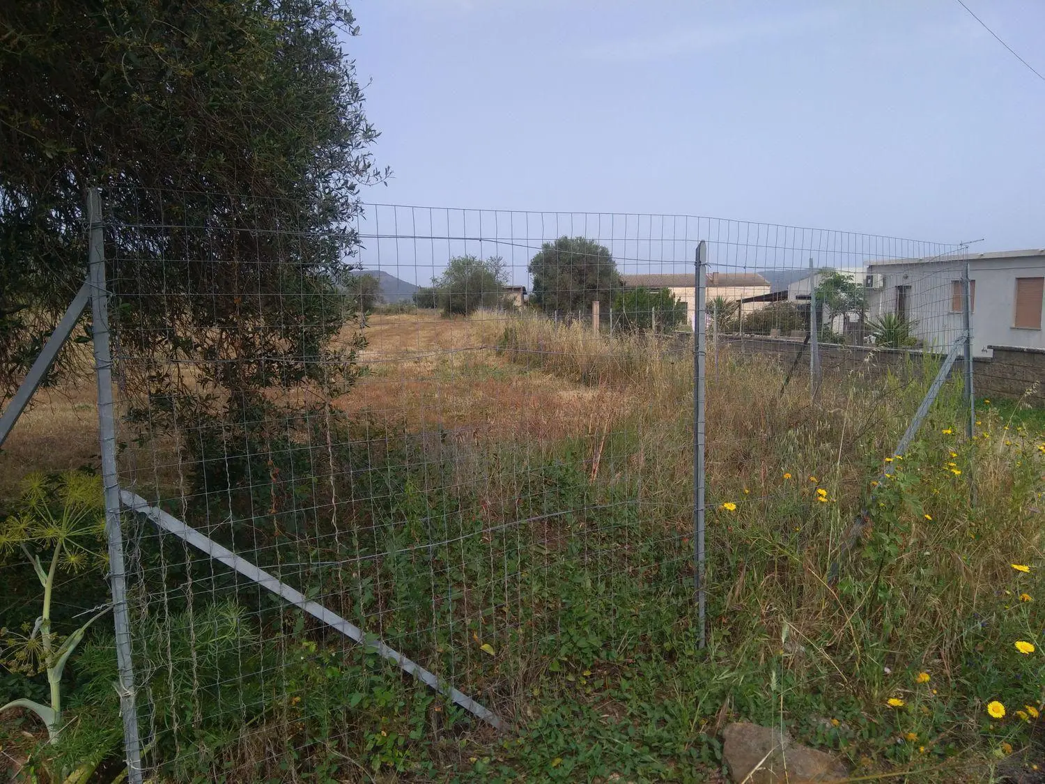 Immagine per Terreno Edificabile in vendita a Nuxis via Is Pinnas