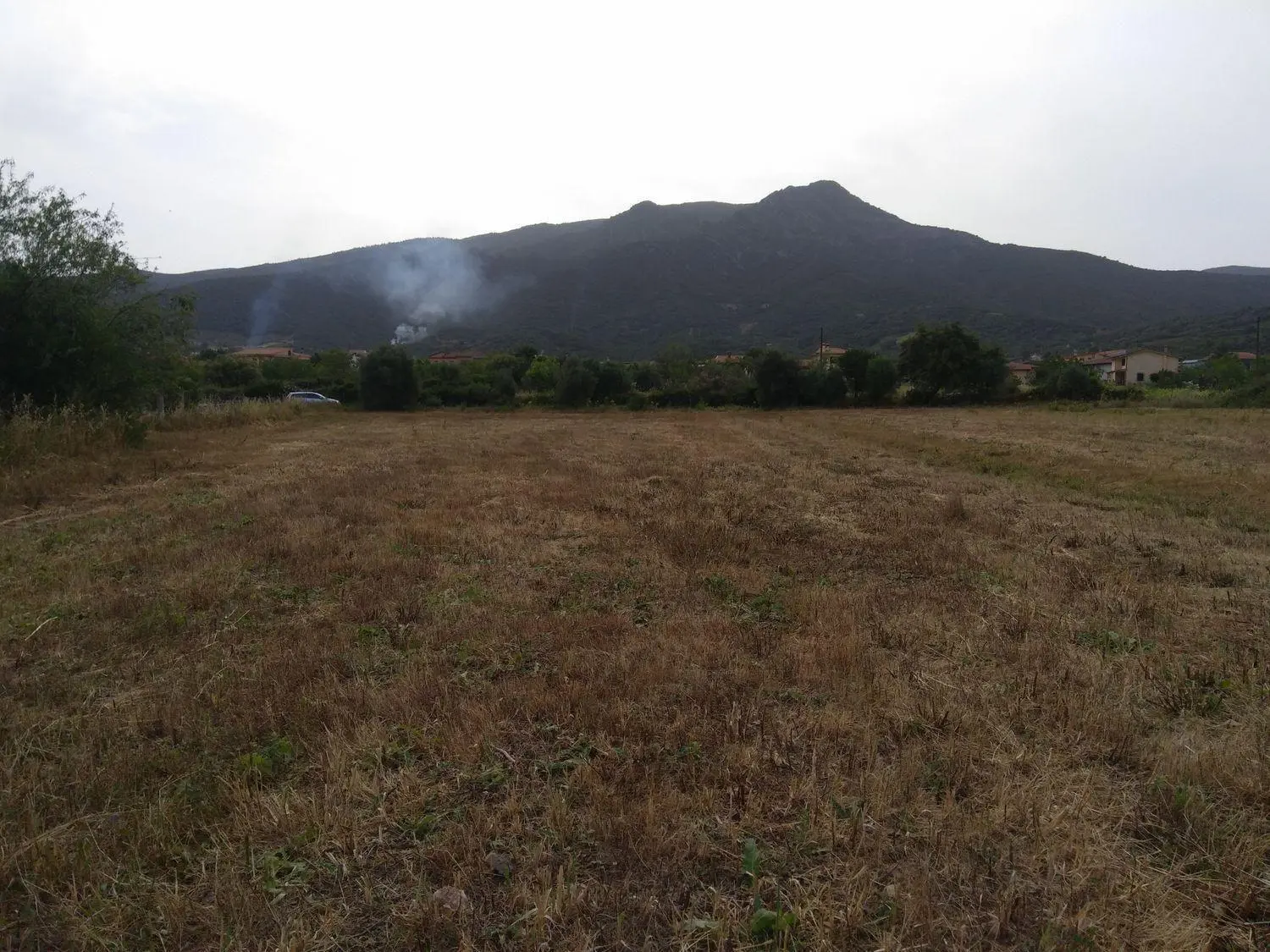 Immagine per Terreno Edificabile in vendita a Nuxis via Is Pinnas