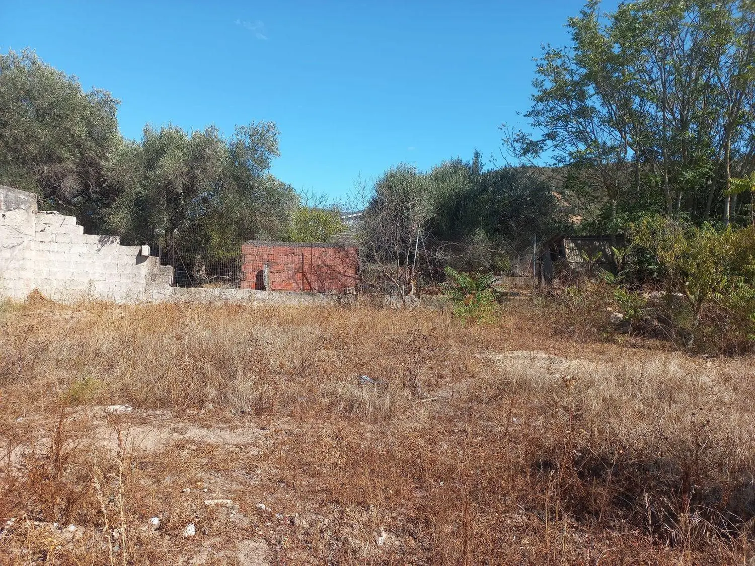 Immagine per Terreno Edificabile in vendita a Santadi via Barrancu Mannu