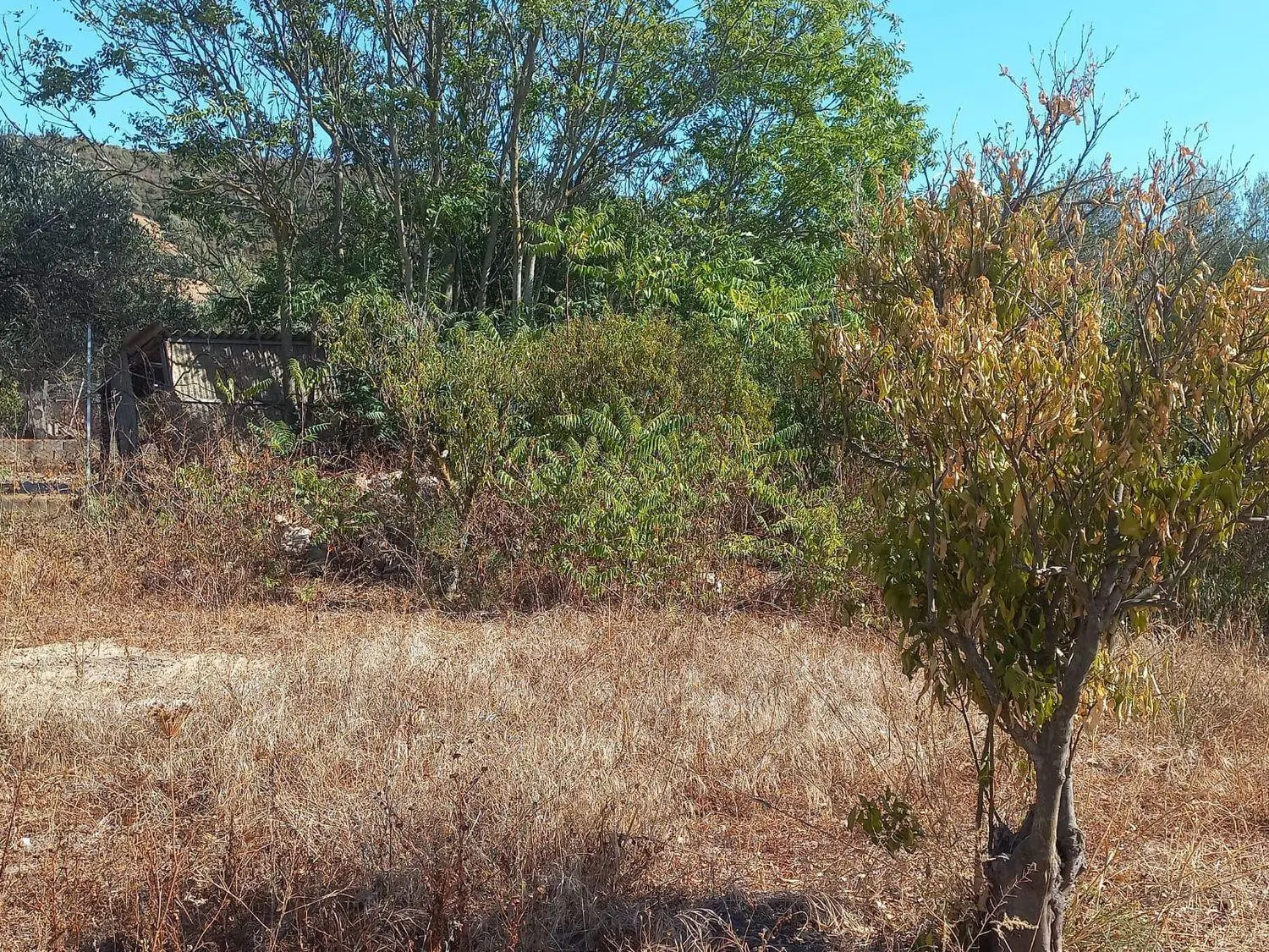 Immagine per Terreno Edificabile in vendita a Santadi via Barrancu Mannu