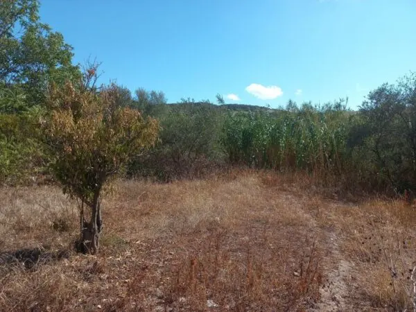 Terreno Edificabile via Barrancu Mannu, Santadi