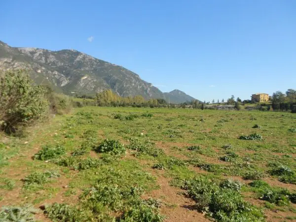 Terreno Agricolo Iglesias