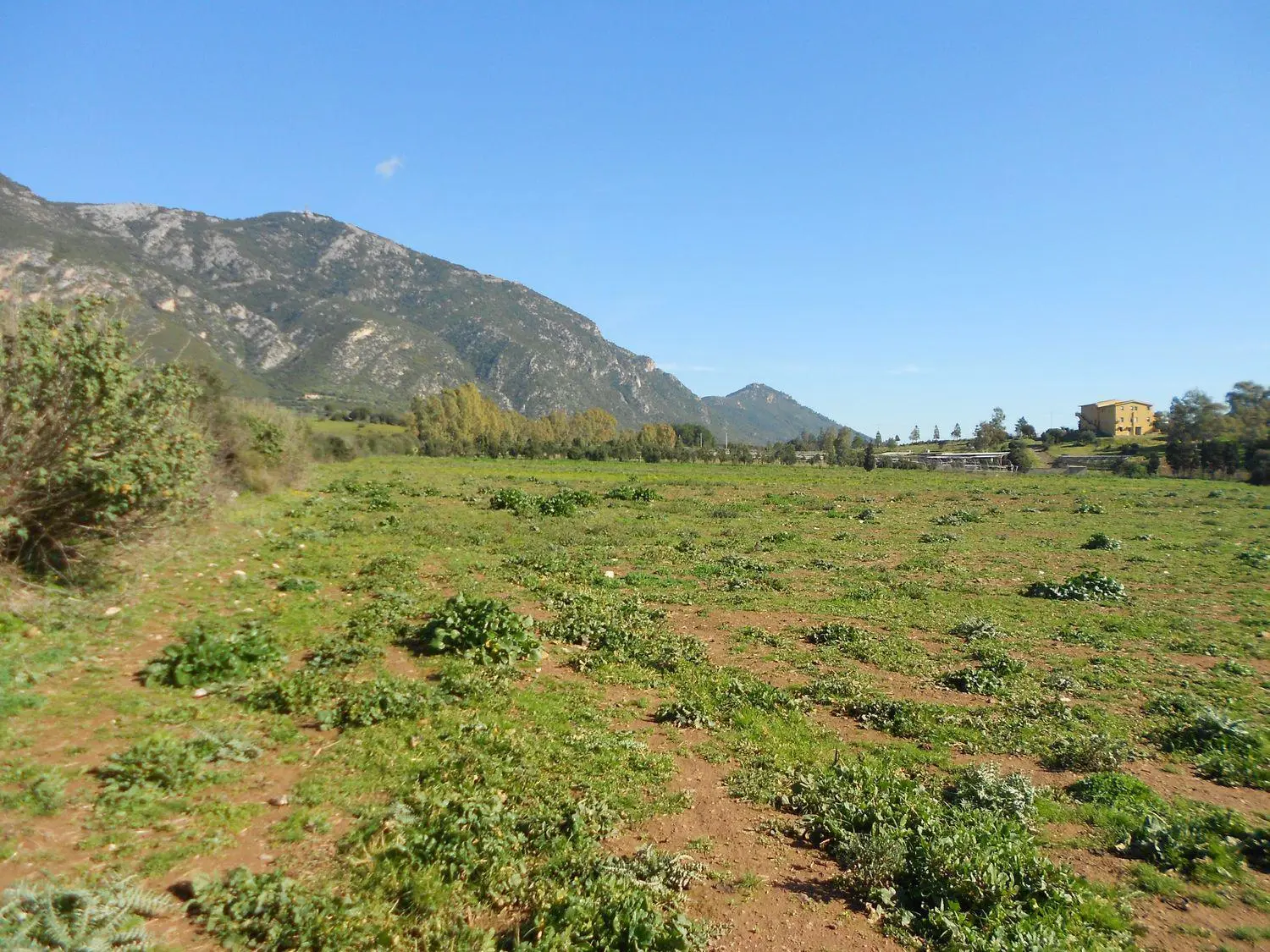 Immagine per Terreno Agricolo in vendita a Iglesias