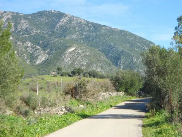 Terreno Agricolo Iglesias