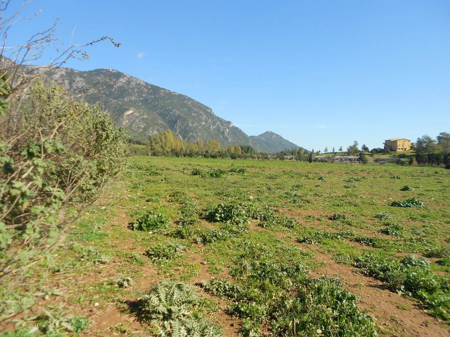 Immagine per Terreno Agricolo in vendita a Iglesias