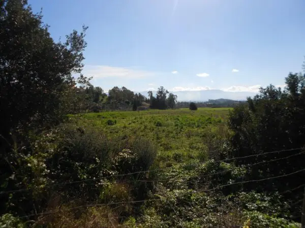 Terreno Agricolo Iglesias