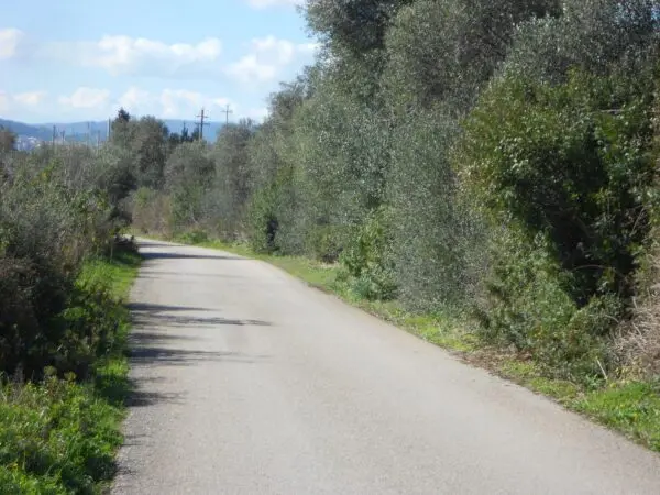 Terreno Agricolo Iglesias