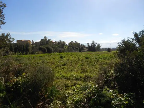 Terreno Agricolo Iglesias