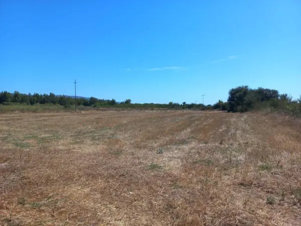 Terreno Agricolo via Tuerra Manna, Villamassargia