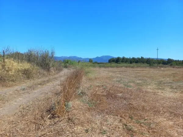 Terreno Agricolo via Tuerra Manna, Villamassargia
