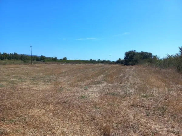 Terreno Agricolo via Tuerra Manna, Villamassargia