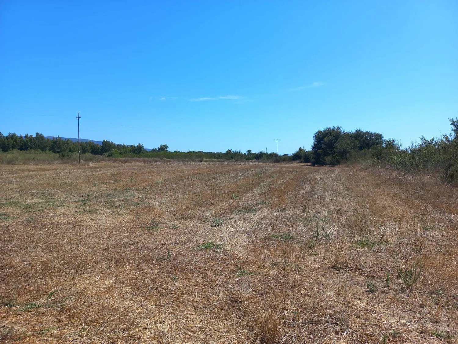 Immagine per Terreno Agricolo in vendita a Villamassargia via Tuerra Manna