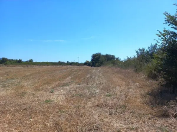 Terreno Agricolo via Tuerra Manna, Villamassargia