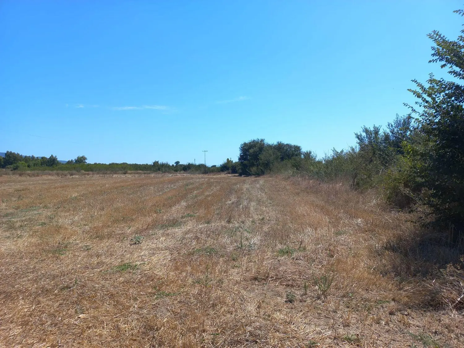 Immagine per Terreno Agricolo in vendita a Villamassargia via Tuerra Manna
